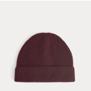 Everlane cashmere beanie in color wine